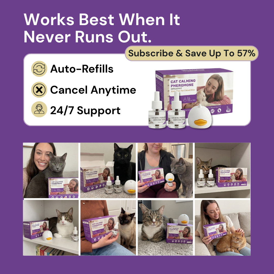 AromaPaw™ Calming Diffuser Kit