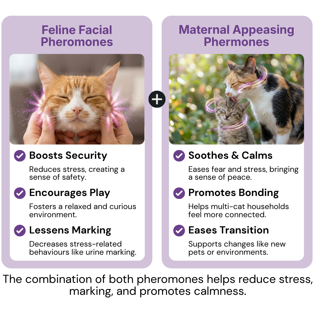 AromaPaw™ Calming Diffuser Kit image AromaPaw™ Calming Diffuser Kit