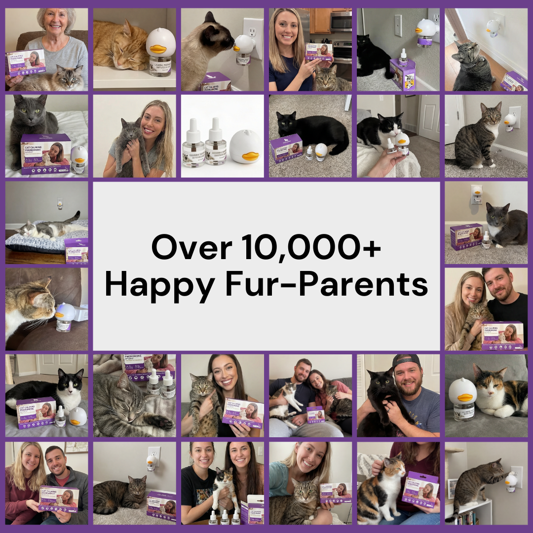 AromaPaw™ Calming Diffuser Kit