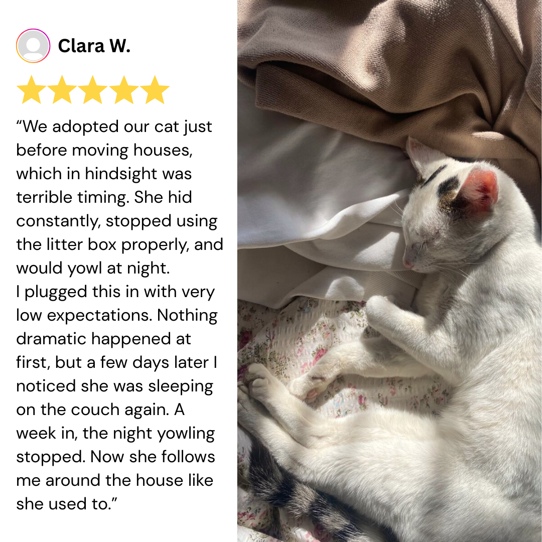 AromaPaw™ Calming Diffuser Kit