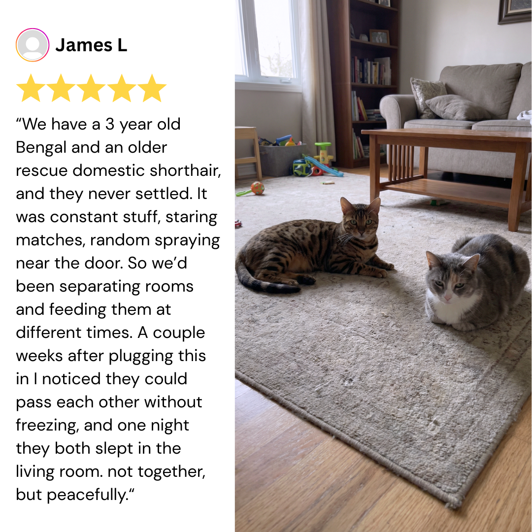 AromaPaw™ Calming Diffuser Kit