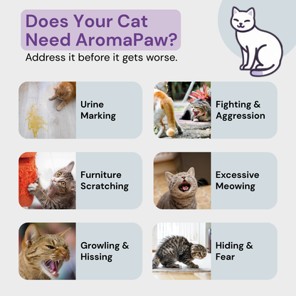 AromaPaw™ Refills