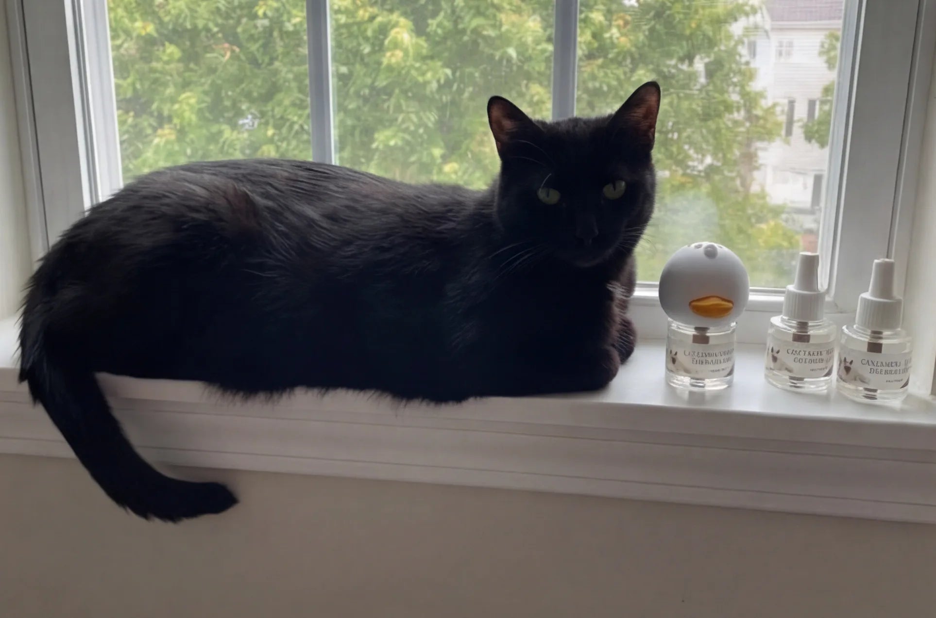 Black cat relaxing on windowsill next to AromaPaw diffuser and refill vials