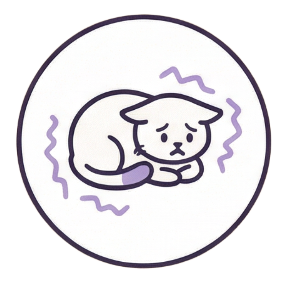 Anxious cat hiding