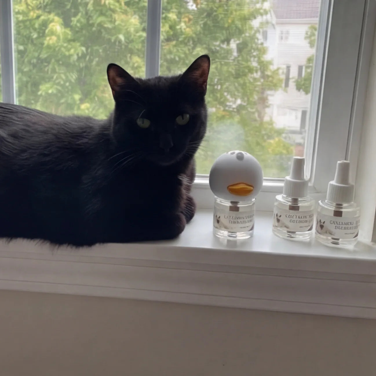 Black cat relaxing on windowsill next to AromaPaw diffuser and refill vials